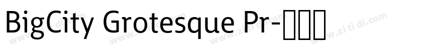 BigCity Grotesque Pr字体转换 BigCity Grotesque Pr字体转换